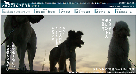 犬のしつけ教室【西宮市】と愛犬との絆を深める必要性！